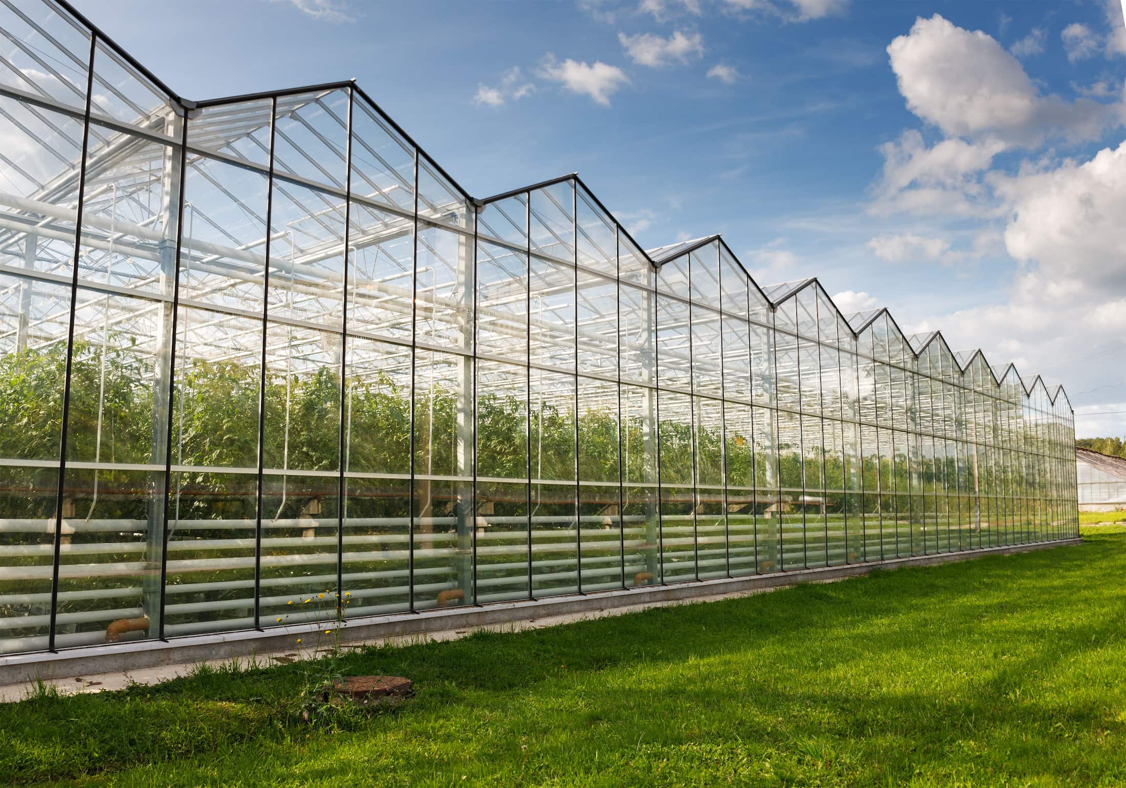 SOLUTION: Greenhouse Automation