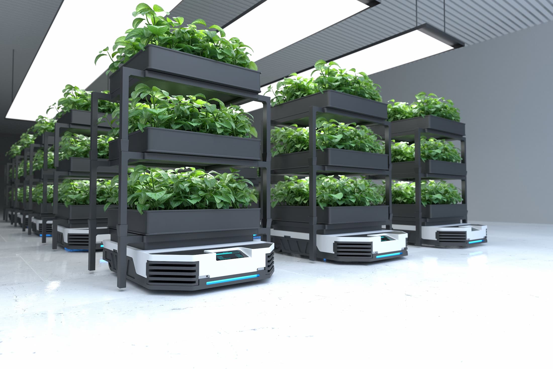 Indoor Hydroponic system