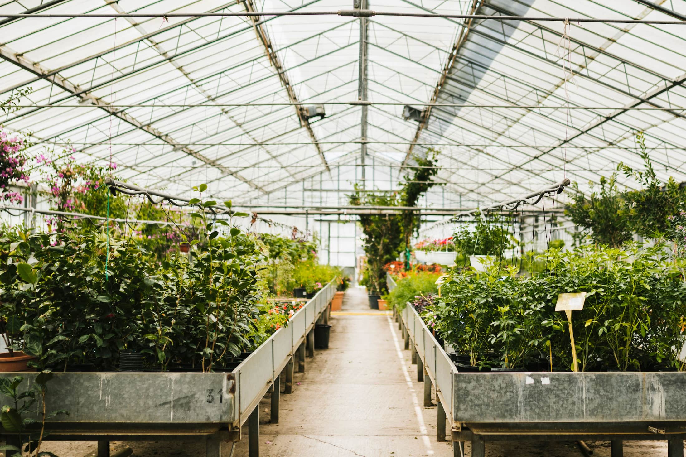 Balancing Nature with Control